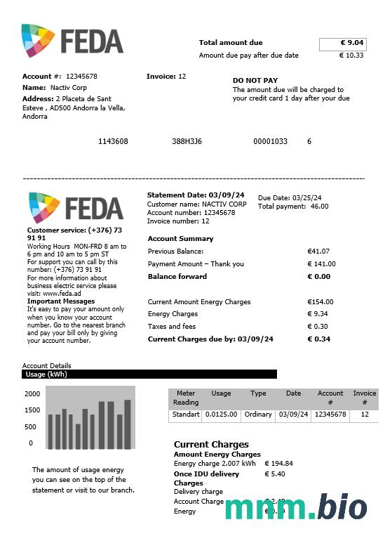 Andorra Electric Forces of Andorra rachunek za usługi komunalne szablon w formacie Word i PDF